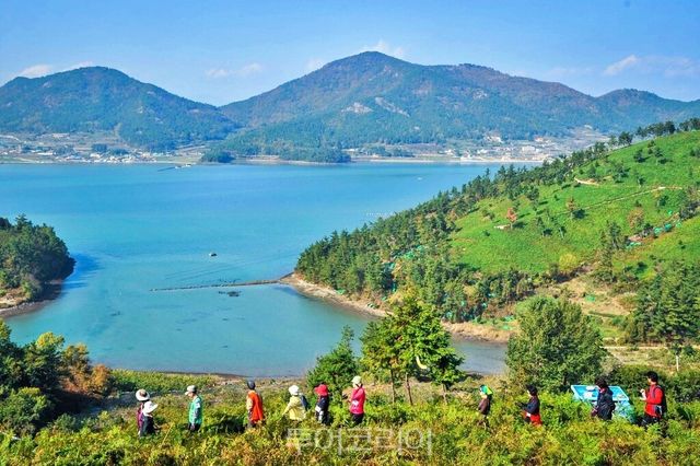 남해바라길/사진-남해군