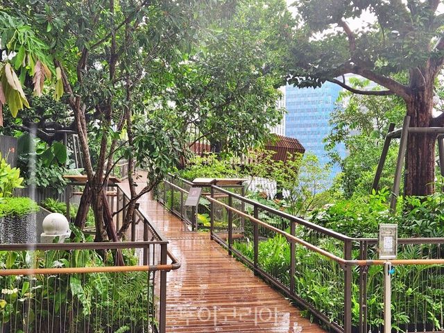 두짓 센트럴 파크/사진-투어코리아