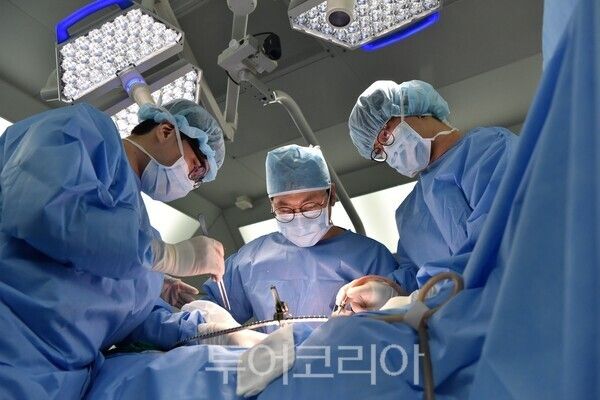 자료사진. /사진-전남도