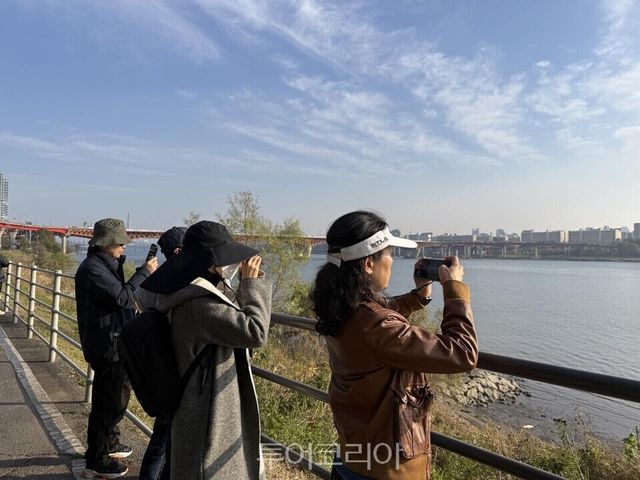 서울숲공원 겨울새 탐조/사진=서울시