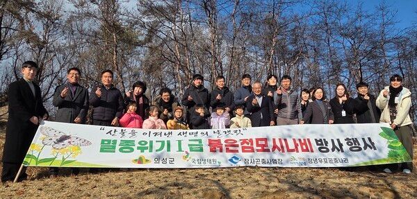 붉은점모시나비 유충 방사 모습./사진-의성군