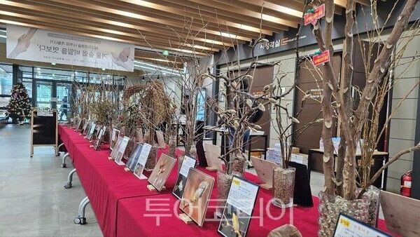 '배다리마을숲 나무의 겨울나기-겨울 숲의 비밀을 엿보다/투어코리아뉴스 정명달 기자