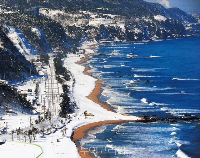 정동진 겨울/사진=강릉시청