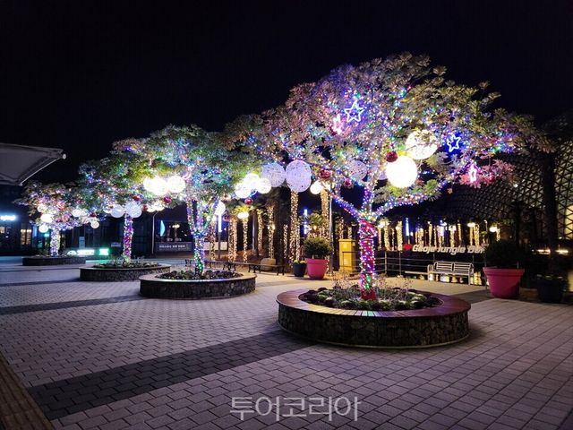 정글돔 외부 경관 조명/사진=거제식물원