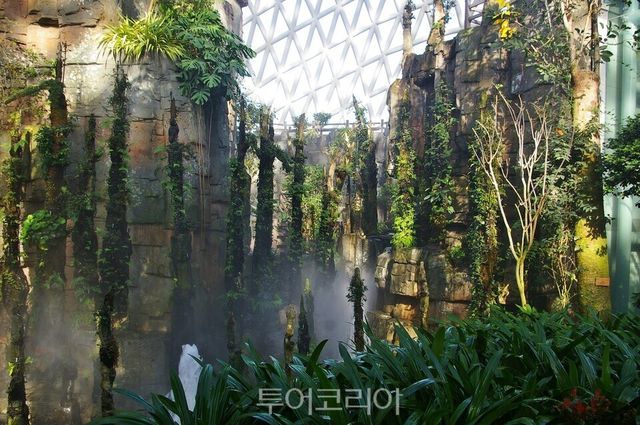 거제식물원 정글돔 석부작 계곡&nbsp;ⓒ 투어코리아