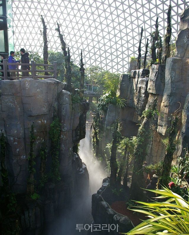거제식물원 정글동 내 석부작 계곡&nbsp;ⓒ 투어코리아