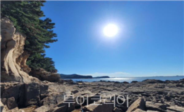 &nbsp; 인천 옹진 모도리마을/사진-해앵수산부