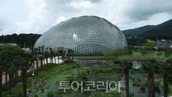 거제식물원 정글돔 /사진=거제식물원