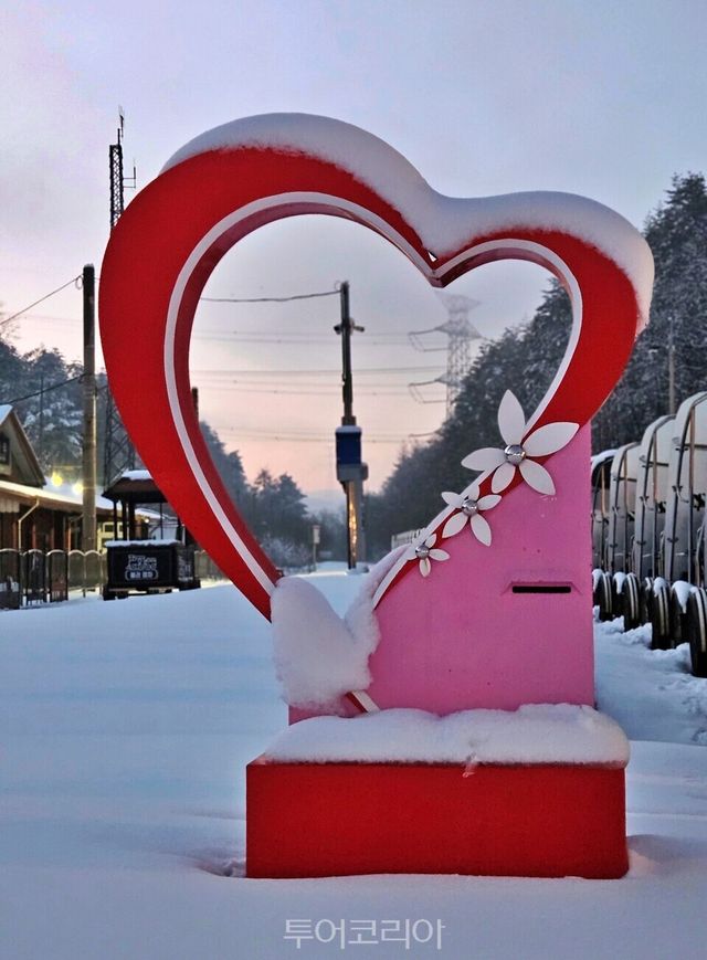 눈덮인 오로라 / 투어코리아 DB