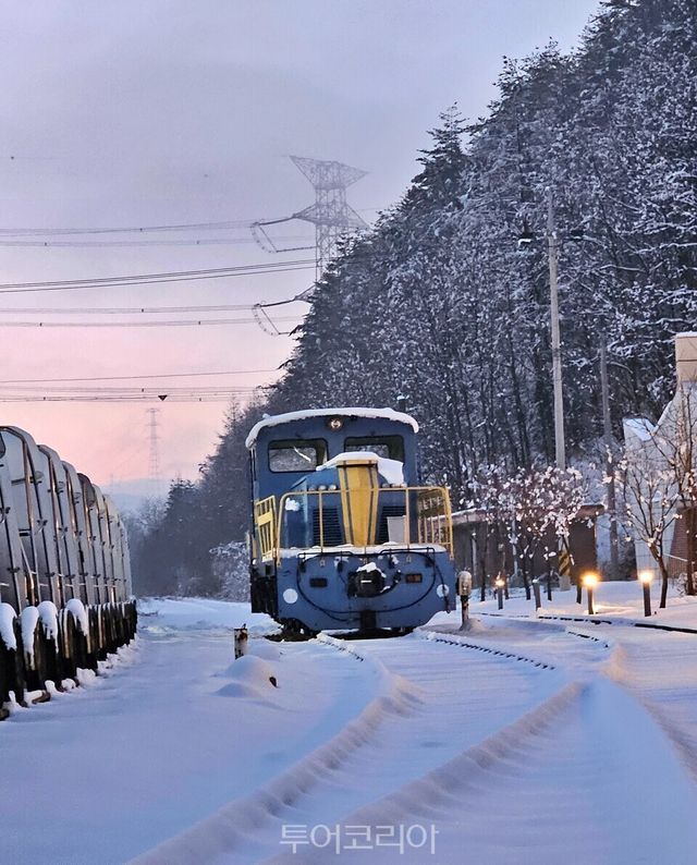 눈에 묻힌 오로라 파크/투어코리아DB