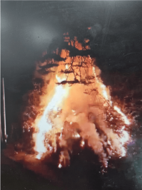 산불현장/ 산림청 제공