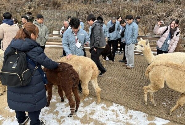 일본 돗토리현 스포츠 교류단 대상 홍천~춘천 잇는 관광 프로그램 운영/ 강원관광재단 제공