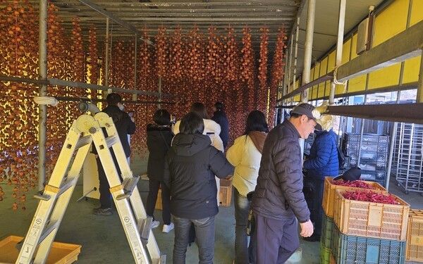 ▲논산시 온라인 홍보단이 지난 5일 양촌면 곶감 덕장을 방문해 시설 곳곳을 살펴보고 있다. /사진-논산시