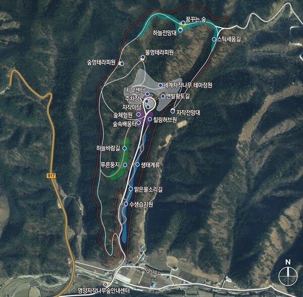 영양자작나무숲 기본계획안./자료=경북도