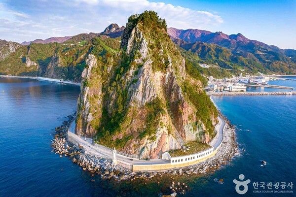 포토코리아-앙지뉴 필름