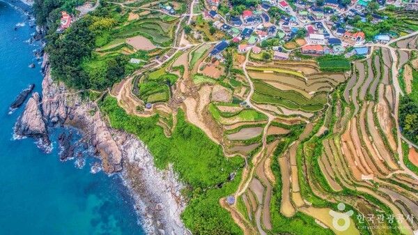 포토코리아-정상호