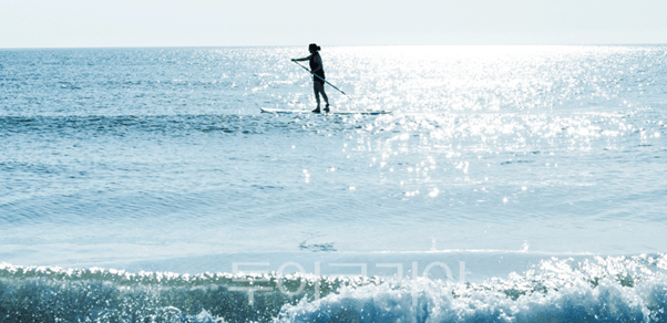 로빈슨 남호이안