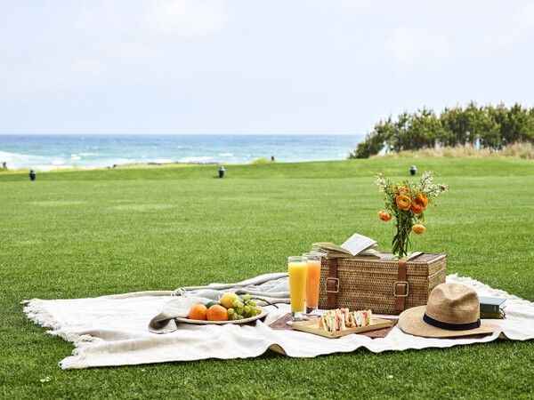 이미지 출처:해비치호텔앤드리조트