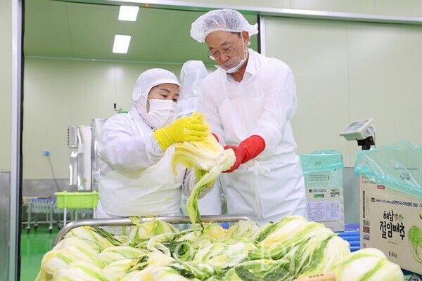 해남군은 절임배추가 2024년 역대 최고인 1289억원 매출을 기록했다. /사진-해남군