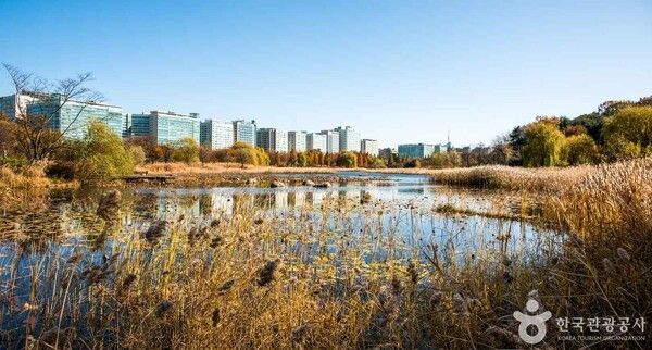 포토코리아-라이브스튜디오 김학리