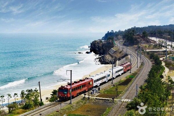 포토코리아-IR 스튜디오