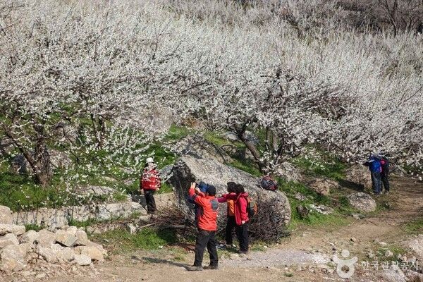 포토코리아-한국관광공사 김지호
