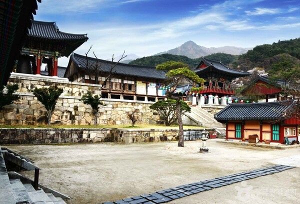 포토코리아-IR 스튜디오