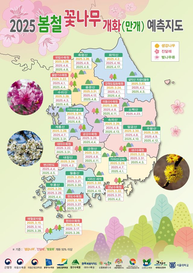 2025년 봄철 꽃나무 개화 예측지도/이미지-산림청