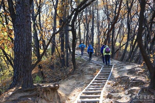 포토코리아-한국관광공사 김지호