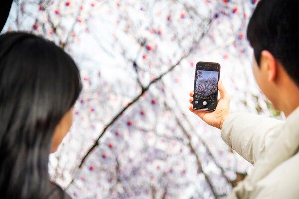 효창공원 태극기 거리에서 사진촬영 모습(사진제공=용산구청)