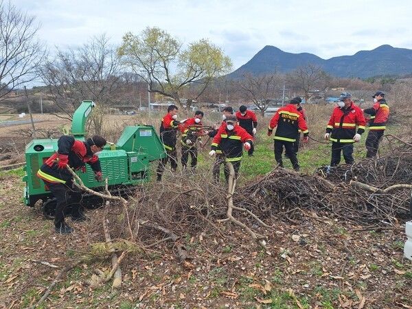산불 방지 총력 잡목 제거모습./사진-의성군