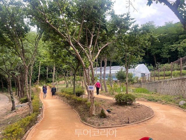 남양주시 별내면 청학리 맨발길/사진=경기도