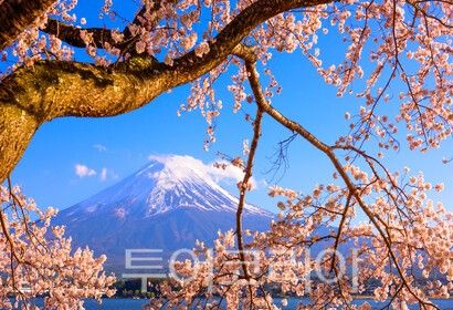 일본 후지산/사진-노랑풍선