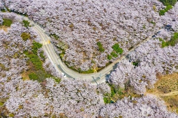포토코리아-부산관광공사