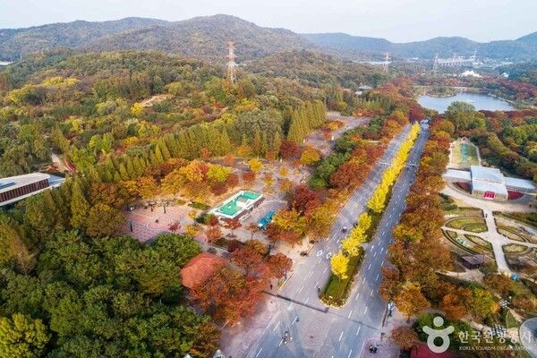 포토코리아-두드림