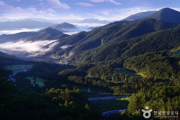 태백산국립공원 출처-포토코리아&nbsp;IR 스튜디오