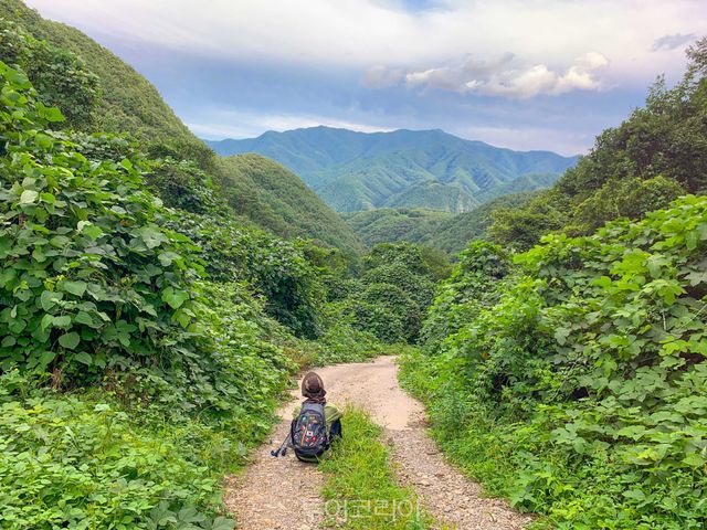 운탄고도/사진-승우여행사