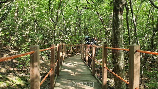 한라산둘레길/사진-승우여행사