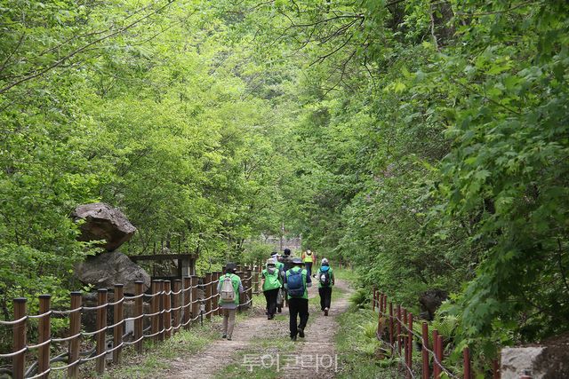 DMZ평화의길 횡단/사진-승우여행사