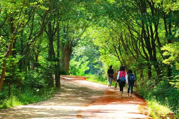 스튜디오촬영자IR <br>