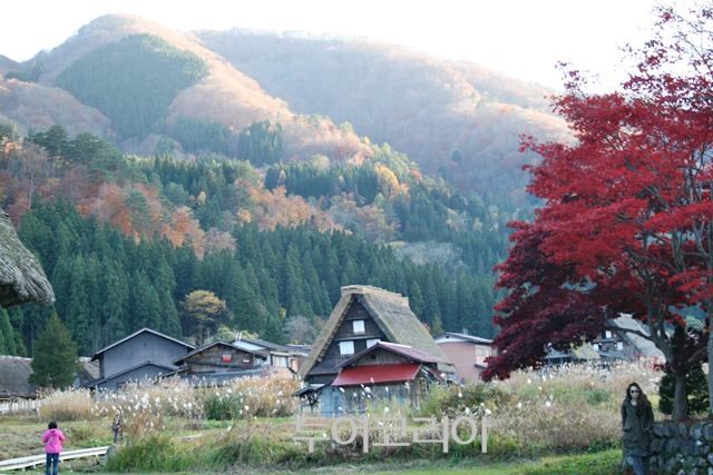 한 폭의 수채화 같은 '시라카와고 갓쇼즈쿠리 풍경'