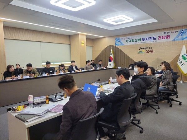 고령군 지역활성화 투자펀드 유치 간담회 모습./사진-경북도