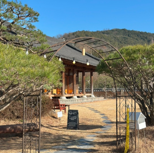 출처-카페하녹 인스타그램