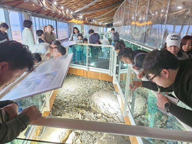 공룡박물관 공룡캠프/사진-해남군