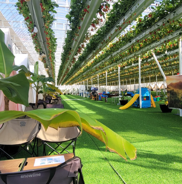 출처-울트라팜 인스타그램