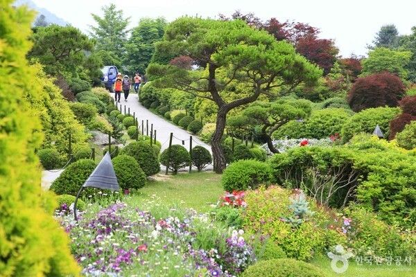 아침고요수목원 이미지 출처-포토코리아&nbsp;한국관광공사 김지호