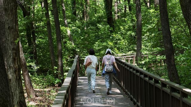 &nbsp;시민들이 무릉도원수목원 누구나숲길을 산책하고 있다./사진-부천시