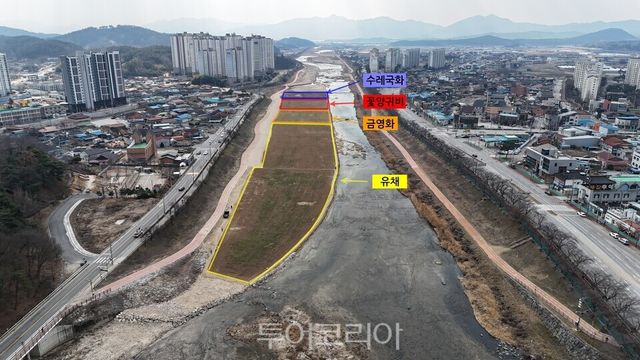 남원시, 춘향제에 맞춰&nbsp; 갖가지 꽃을 볼 수 있도록 조성한 승하교 하쳔변 꽃단지./사진=남원시