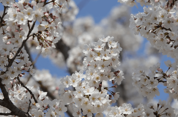 이미지 출처-픽사베이