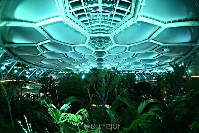 부천호수식물원 수피아 야간운영 내부 전경/사진-부천시